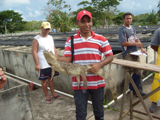 Learning about the experiences