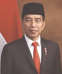 Reformasi 1998 Joko Widodo/Jokowi