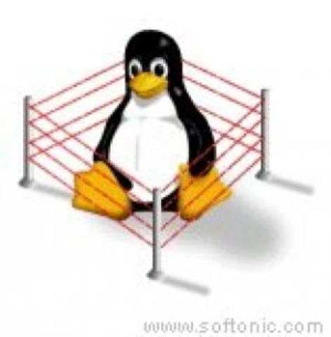 serie 2.2 del núcleo Linux