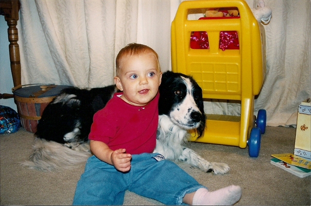 My first dog, Shane, died