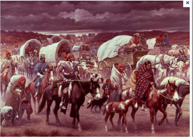 Indian Removal Act