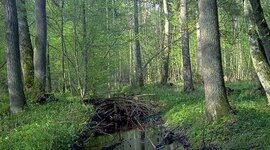 Timeline: Les Explorateurs Du Nouveau Monde