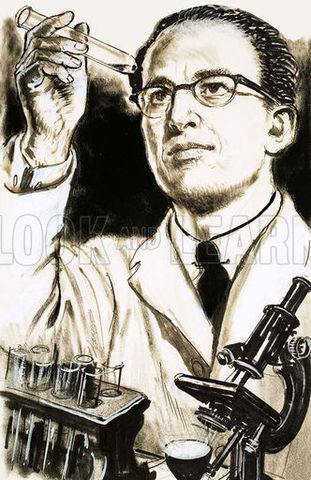 The Polio Vaccine was created