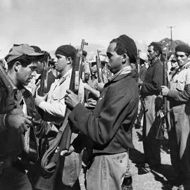 bay of pigs invasion