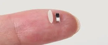 The size of a grain of rice