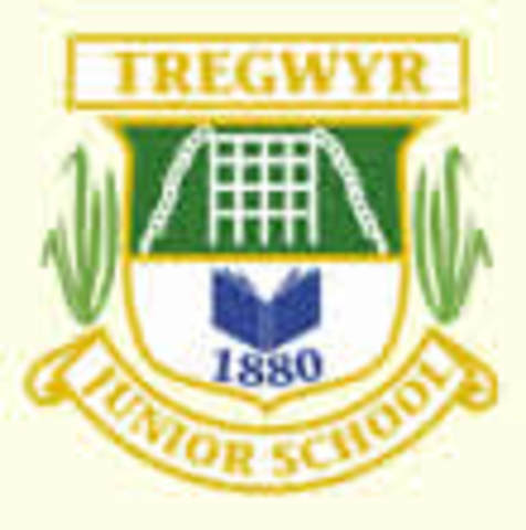 Started TreGwyr Junior