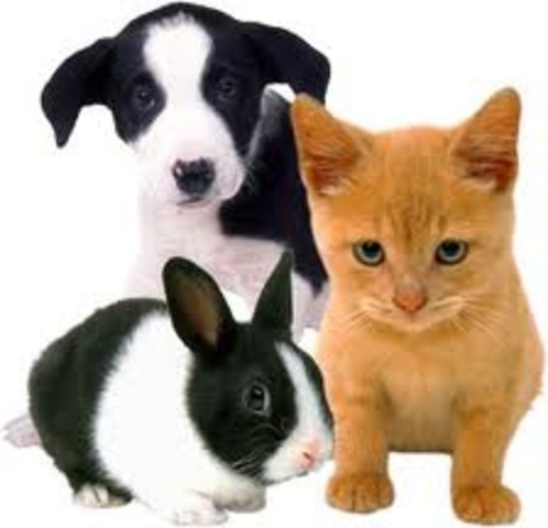 First went to pre/school