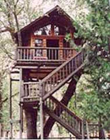 In the treehouse
