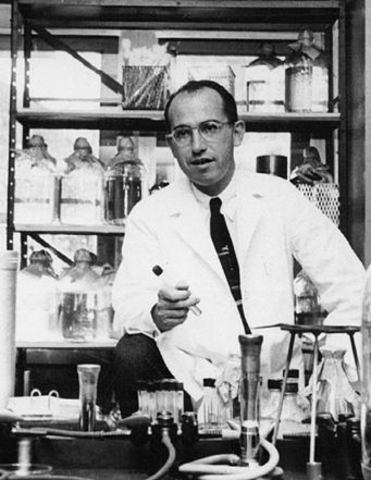 •	Polio vaccine announced to the world by Dr. Jonas Salk and Dr. Thomas Francis.
