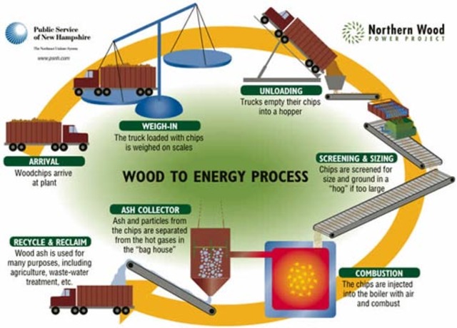 Natural gas and electricity have replaced wood heat in most homes and commercial buildings.