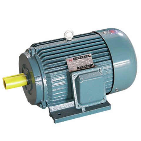 electric motor