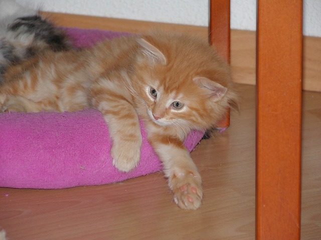 Sweetie is besproken