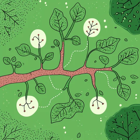 Semana 11 | 3d - Ecossistemas de inovação e redes de colaboração