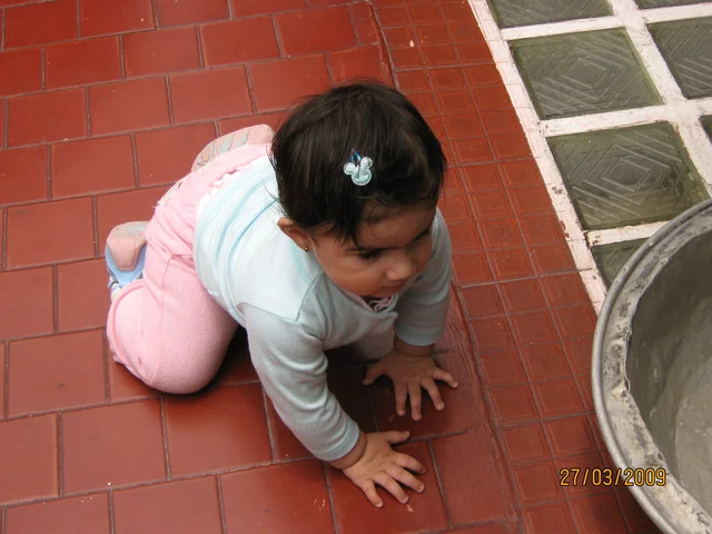 crawl