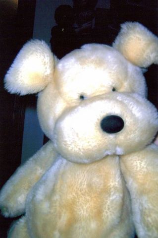 Got my favorite stuffed dog