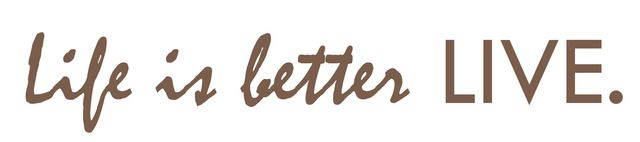 Life For the Average American Has Gotten Better