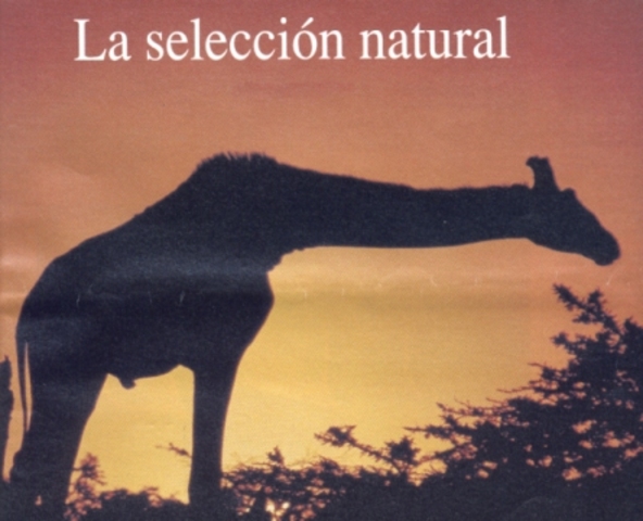Selección natiral