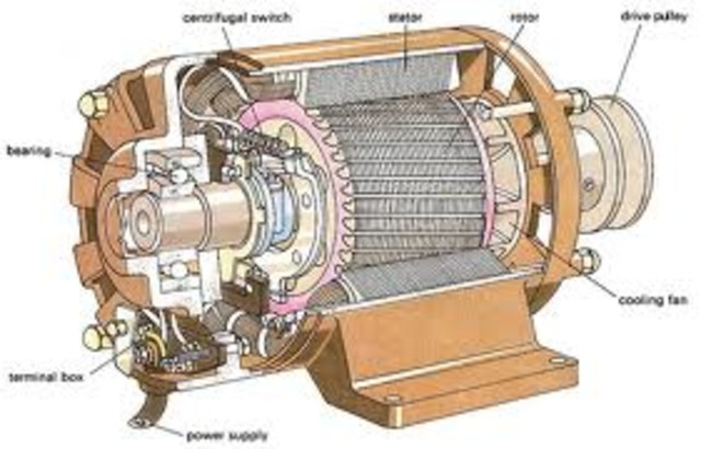 electric motor