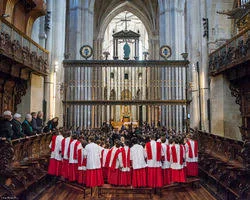 Rector del Colegio de Seises
