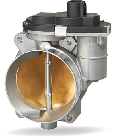 Cuerpo de Mariposa ETC/EGAS