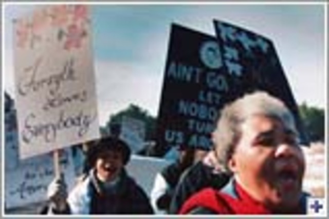 Integration of GA schools