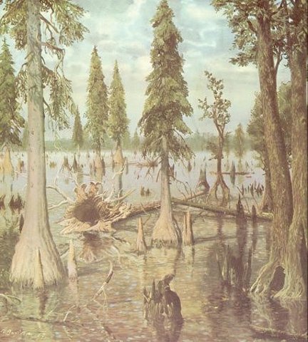 Tertiary period: 65-1.8 MYA