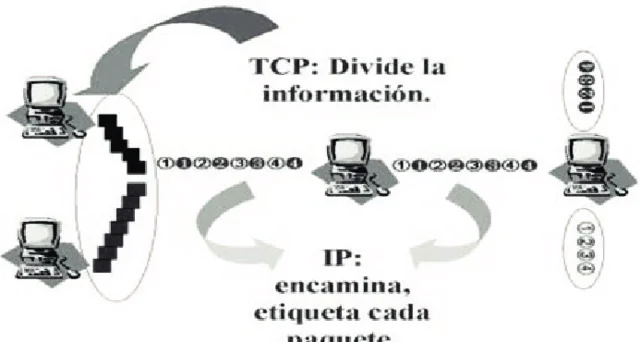 Protocolo base de Internet: TCP/IP