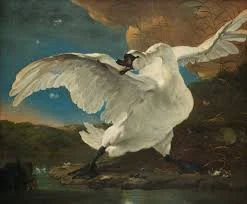 Arcadelt Madrigal  Il bianco e dolce cigno