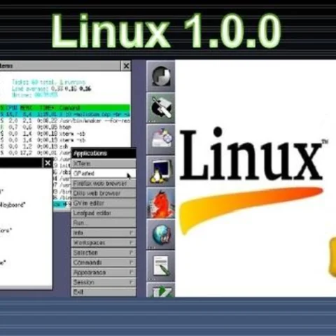 Versión 1.0 de Linux