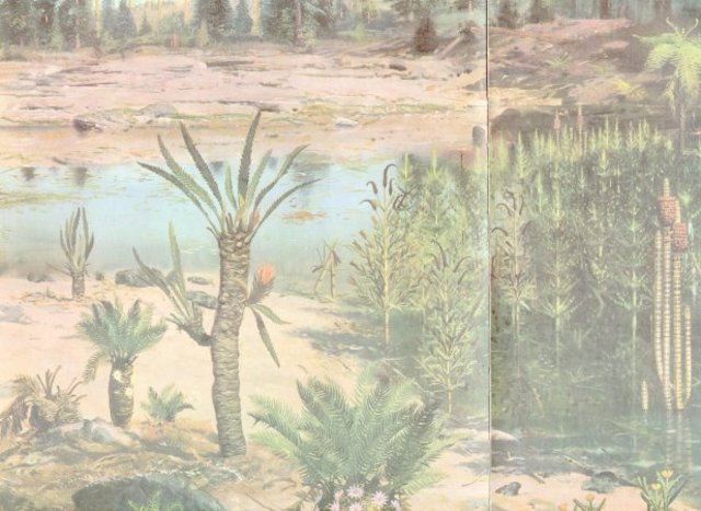 Triassic Period 225-195 Million Years Ago