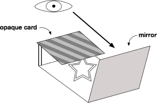 Estudios de la Dra. Brenda Milner