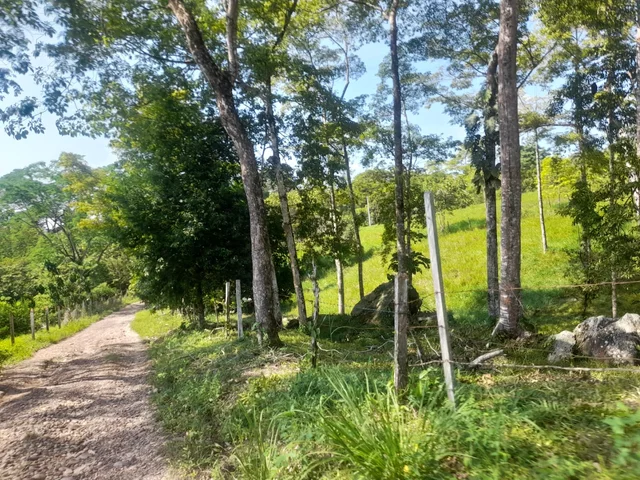 Vacation on the estaré