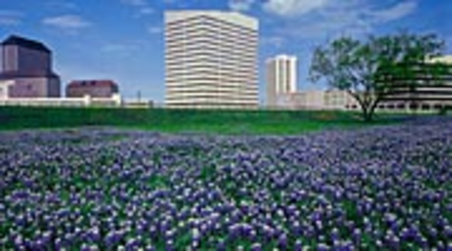 The Big D (DALLAS, TEXAS)