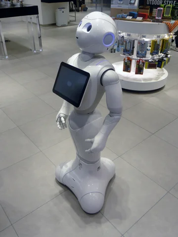 First Commercial Social Robot