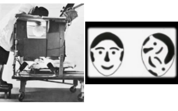 voor/bij geboorte: visuele waarneming + exp. "kijkkamer"