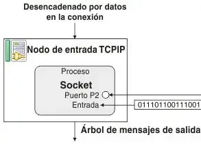 Se adopta el protocolo TCP/IP