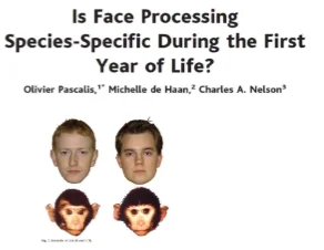 Voorkeur + betere discriminatie: eigen etniciteit