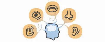 Multimodale  benadering