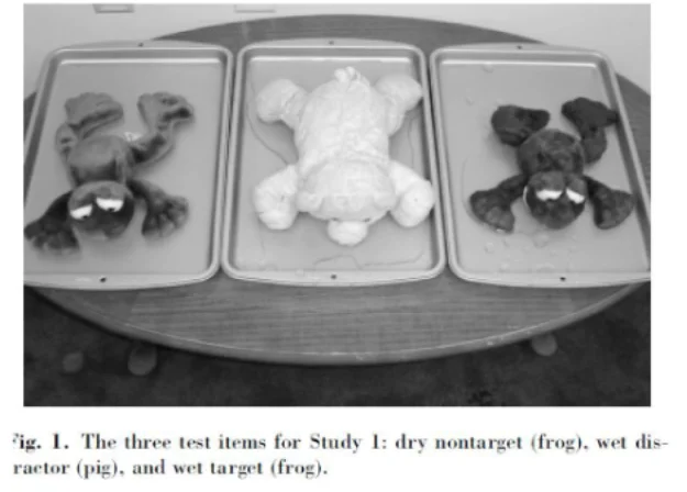 MENTALE REPRESENTATIES: symboolbegrip