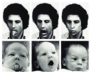 bij geboorte: EMOTIE INTERPRETEREN