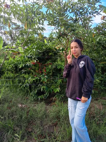 Discovering the Coffee Plant