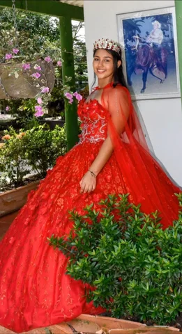 My unforgettable 15th birthday