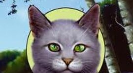 Timeline: Warriors: The Fourth Apprentice