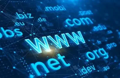 Primer nombre de dominio registrado