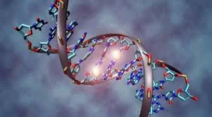 Se logra secuencias el 90% del genoma humano.