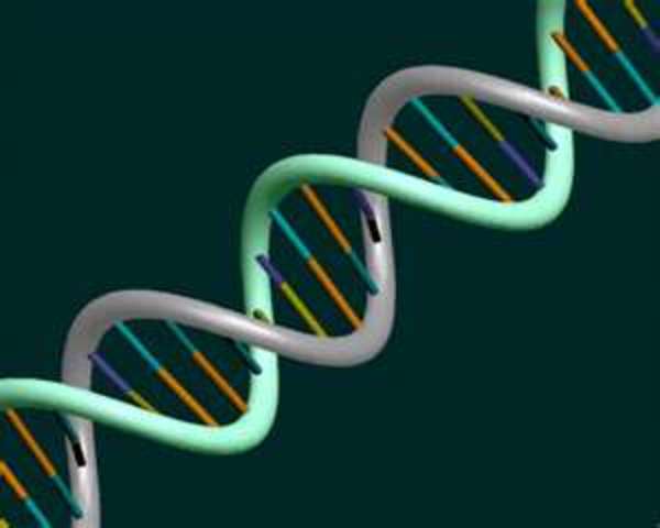 DNA Discovered