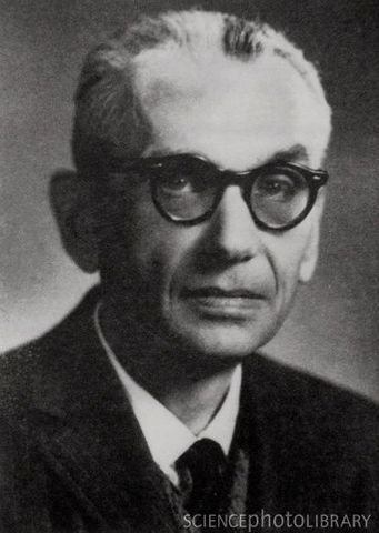 Kurt Gödel proved his incompleteness theorem.