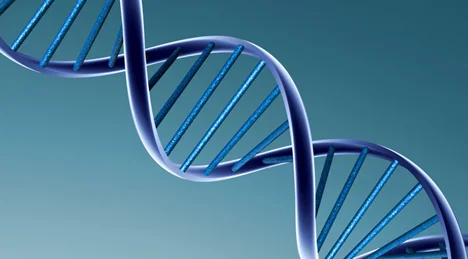 Finaliza el Proyecto Genoma Humano