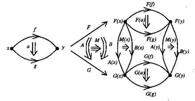 Saunders Mac Lane and Samuel Eilenberg started category theory.