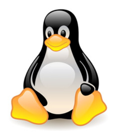 Mi primer Mascota :D